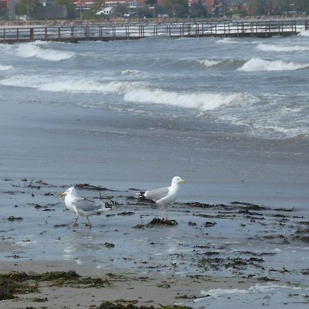 Rieger Fw 3 Lägenhet Eckernförde Exteriör bild